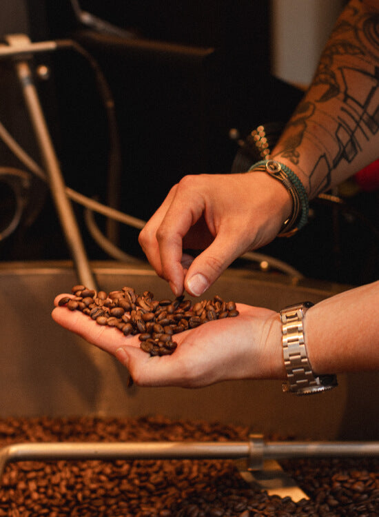 Oliver Schwarzenbach inspecting freshly roasted coffee beans at the Schwarzenbach roastery in Zurich, picking through a handful of beans above a cooling tray. His tattooed forearm and green beaded bracelet are visible alongside the roasting equipment in the background.